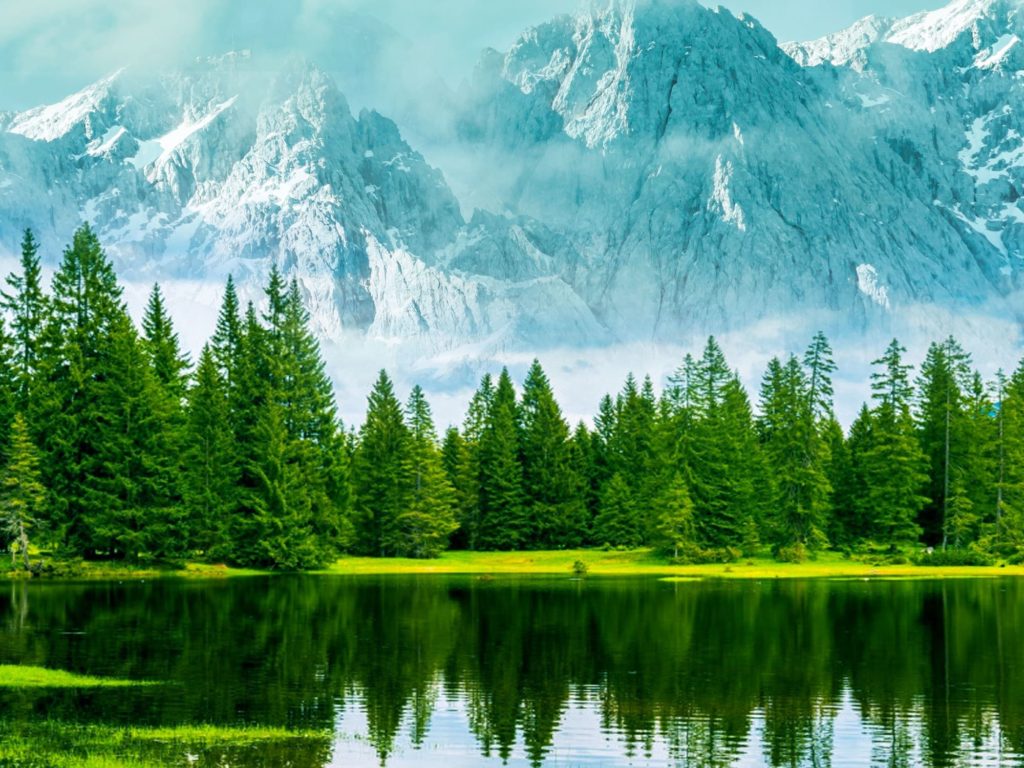 Foresta verde con lago e montagne innevate